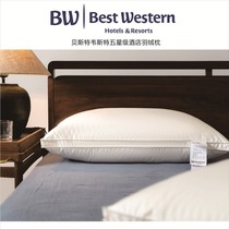 Exit Original single BW five-star hotel pillow down pillow pillow core goose wool white goose down pillow single for sleep