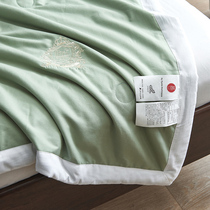 Cotton soybean fiber quilt quilt core Cotton four-season air conditioning quilt double single summer quilt thin quilt can be washed