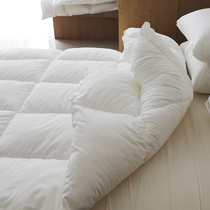 Japanese quilt core five-star hotel bed and breakfast hotel four seasons air conditioning quilt single double feather velvet spring and autumn quilt fluffy