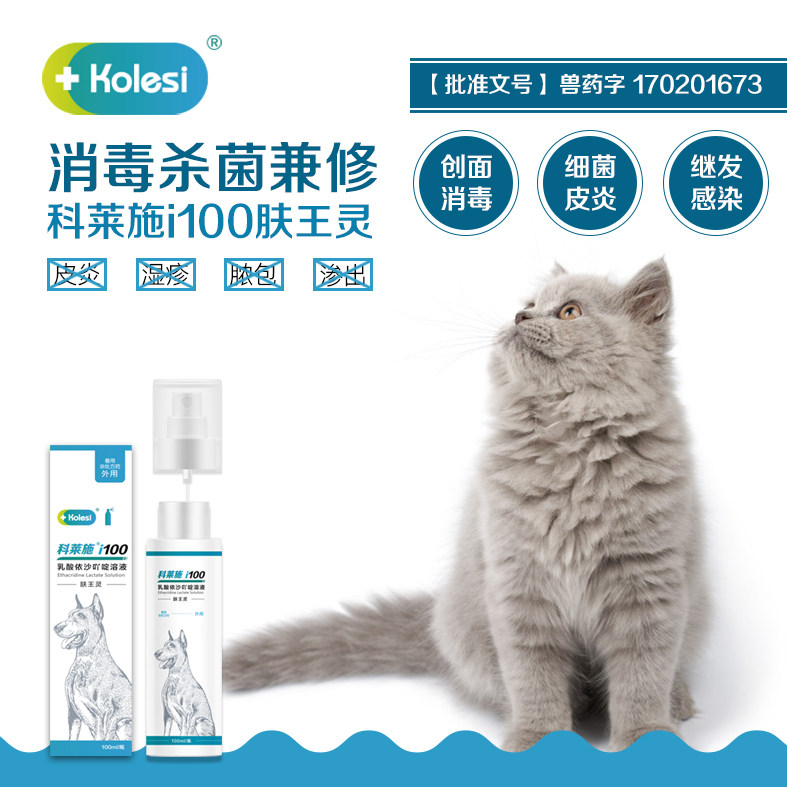 Kolesch dog cat fungus bacterial skin disease spray pet hospital doctor online free consultation