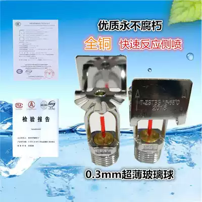 Fire sprinkler spray head 4 points Fire side wall side nozzle fast response 68 degrees Fast response nozzle 3mm