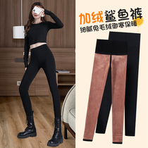 Plus velvet shark skin leggings women wear 2021 Winter new hip shape high waist suspension Barbie yoga pants