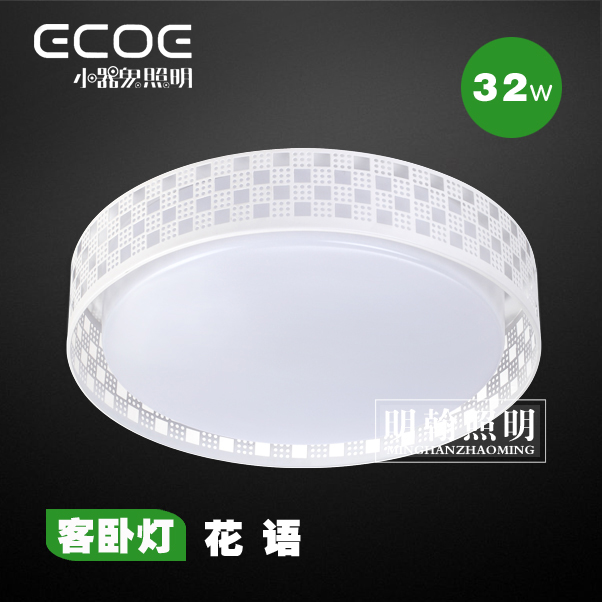 Little Ghost ┃ LED Guest Bedroom Light Floral Language 21w 32w