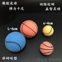 Pet Supplies Wholesale Elastic Ball Kitty Dog Dog Dog With Puzzle Toy Rubber Ball Training Tour Elastic Ball
