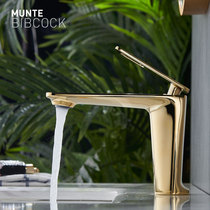 Zirconium golden light luxury hot and cold basin single hole faucet