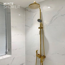 Light luxury bathroom bathroom golden rotatable with lifting constant temperature shower set Wall-mounted