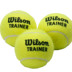 WILSON Weir Sheng Tianlong 60 Pack Huấn luyện viên cho người mới bắt đầu vợt tennis 255g Quần vợt