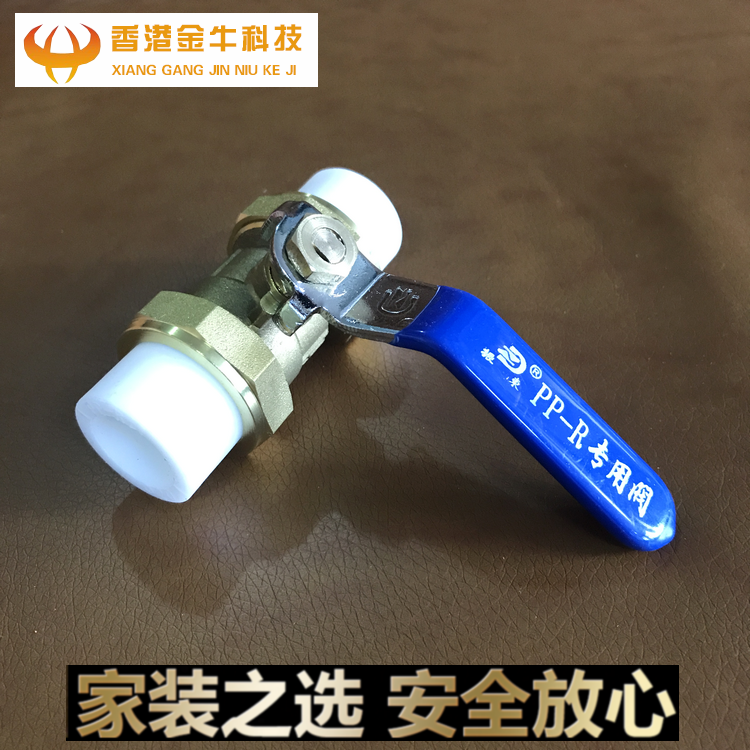 Zhendong all-copper PPR double-head live copper ball valve hot melt pipe valve 20 25 32PPR water pipe fittings