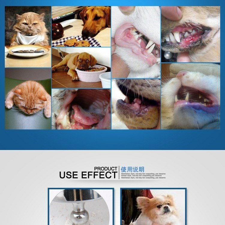 New Zealand Butterfly Pet Dog Cat Bổ sung vitamin tổng hợp B Làm đẹp tóc ngắn Sức khỏe Dinh dưỡng sữa dành cho mèo con