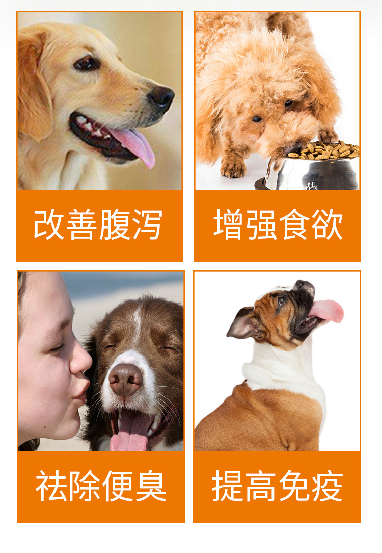 Pet da chó tiêu hóa kho báu bột sinh học điều hòa bột tiêu hóa Teddy Golden Retriever đặc biệt nôn mèo dinh dưỡng vật nuôi - Cat / Dog Medical Supplies giá máy siêu âm chó mèo