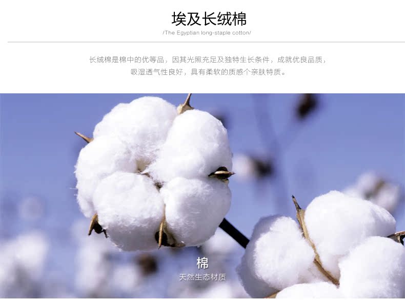 Virtue 富绅 男士经典短袖Polo衫 图5