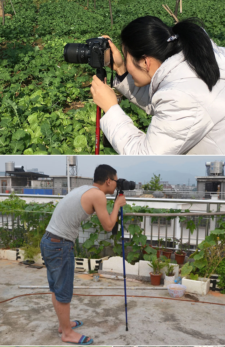 Máy ảnh DSLR cầm tay monepad kỹ thuật số đơn micro đứng trekking ngoài trời mía đi bộ cực gậy chống inox	