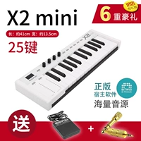 X2mini (25 ключ)