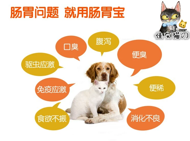 Tốt màu xám mèo の nhỏ pet cat dog dạ dày kho báu probiotics điều hòa ruột đường tiêu hóa viêm tiêu chảy tiêu chảy pet sản phẩm y tế bio milk cho mèo