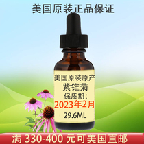  American childhood childlife time echinacea childrens nutrient solution Purple daisy drops baby resistance