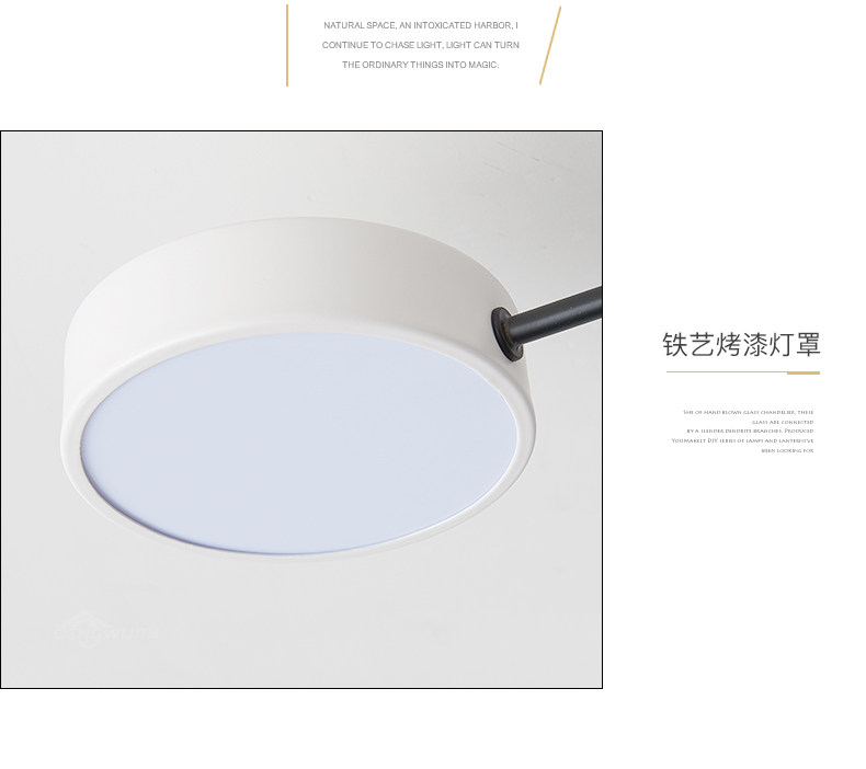 DW-X3689_17.jpg