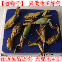 Mantis dry Chinese herbal medicine Mantis Stone Mantis Stone Mantis Knife Mantis Dry Goods Mantis Hew father groom monkey 100 gr