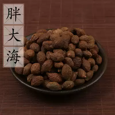 New goods Wild fat Dahai 500g New goods Big sea big sea seeds primary agricultural products Big hole fruit Dahai 2 kg