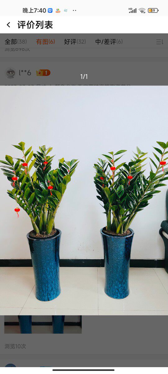 恋家花卉园艺批发店的LOGO
