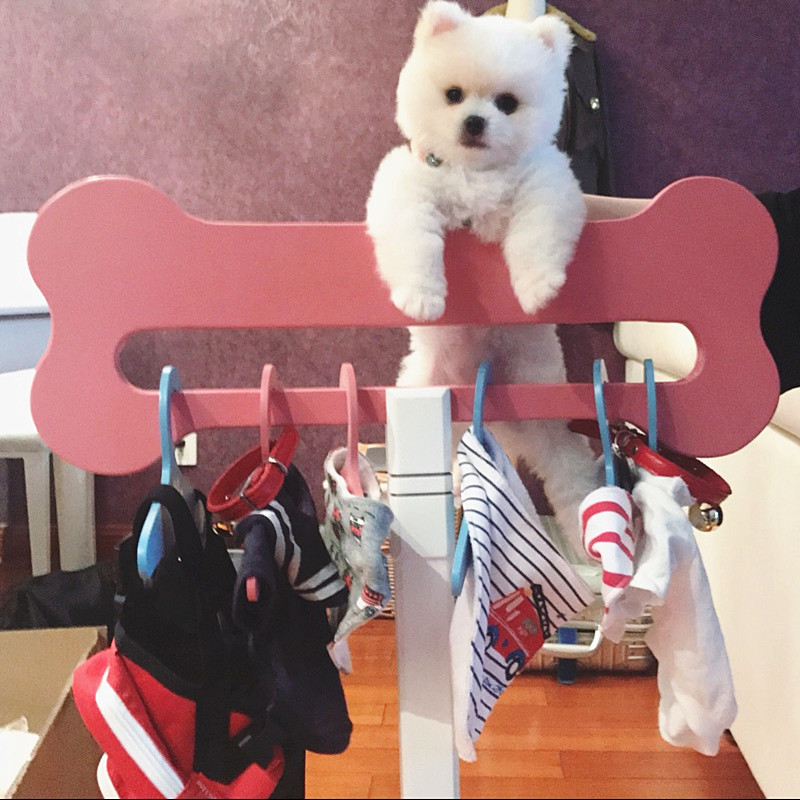 Pet Dog Clothes Hangers Hanger Hanger Pet Supplies Pet Cute Pet