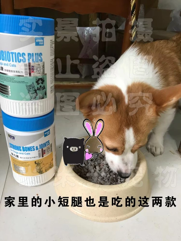 Wisconsin V + Probiotic / Canxi + Chondroitin 300g Teddy Corgi Husky Chi - Cat / Dog Health bổ sung