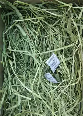 20 years of new grass Gansu Timothy grass drying and grass box loading grass gross weight 1kg Super Green no weeds