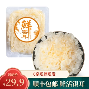  Panpan Twenty -6 Box Fresh Snow Snow  Специальные извинения 苫跎             