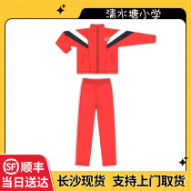 Qingshuitang Second Primary School uniform Qingshuitang Headquarters autumn and winter school uniform cotton jacket pants