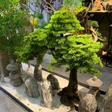 Высокое моделирование по индивидуальному моделированию Добро пожаловать в кедр