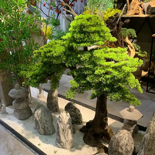 Высокое моделирование по индивидуальному моделированию Добро пожаловать в кедр