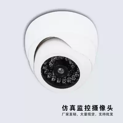 (Special offer every day)Simulation fake camera white sea snail