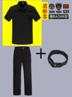 Лето [вверху+брюки+ремень] Отправить знак