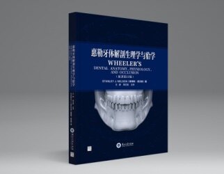揭秘惠勒牙体解剖生理学:牙齿的秘密全解析-口腔科学-淘宝百科网