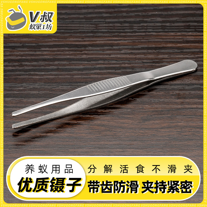 With teeth anti-slip round head quality stainless steel tweezers to feed the living food Good helper Ants Supplies V Uncles Nest Workshop