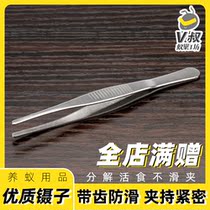 High quality stainless steel tweezers with teeth non-slip round head high quality stainless steel tweezers feeding live food good helper ant raising supplies V uncle ant nest workshop