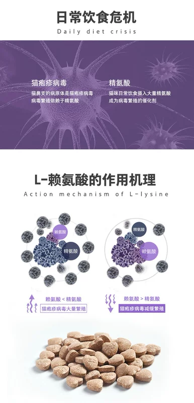 Mèo Weishi mèo mèo nhánh mũi lysine mèo amoniac mèo điều hòa hắt hơi nước mắt bột amoniac 200 viên - Cat / Dog Health bổ sung