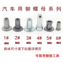 License plate nut Car nut License plate rivet Volkswagen general SAIC Ford modified pedal M5M6