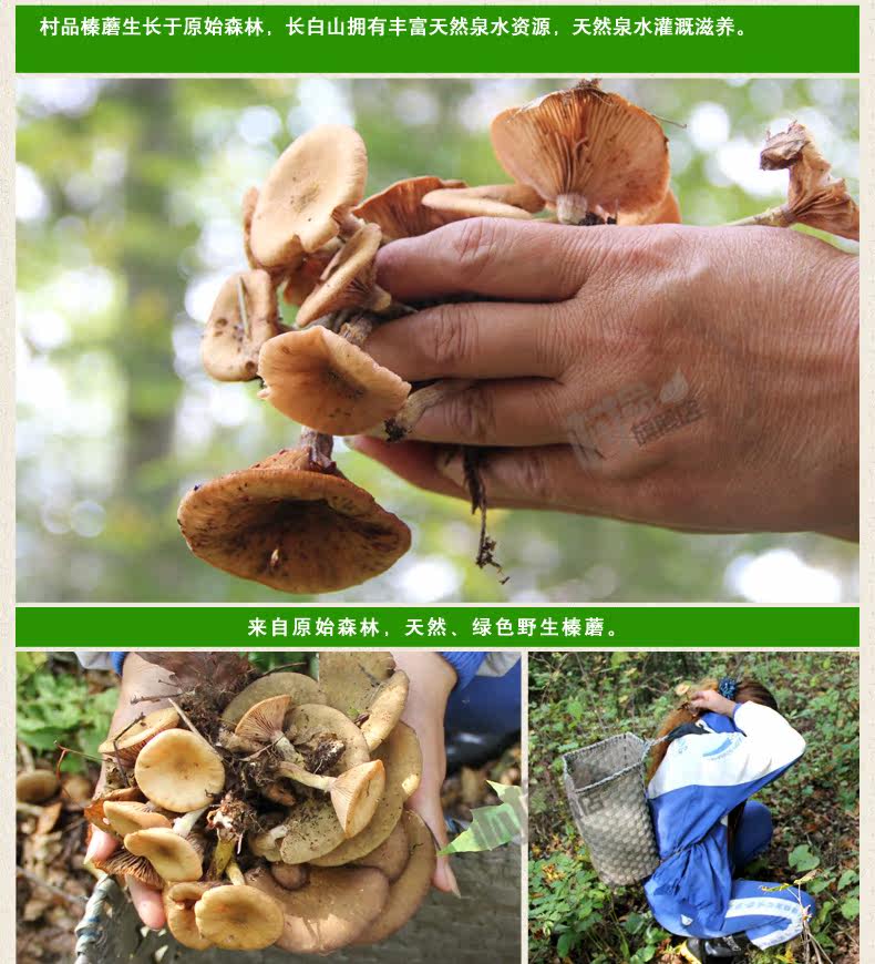 Хейзел гриб [1] _06.jpg