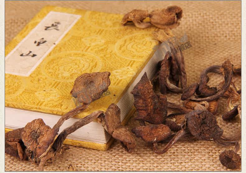 Хейзел Гриб [1] _03.jpg