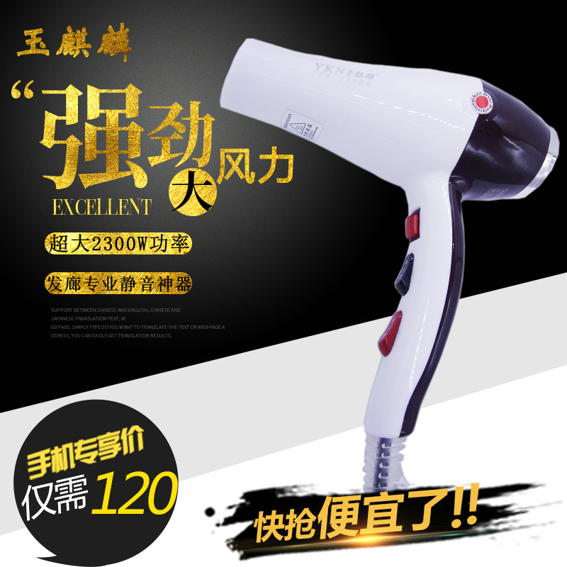 Jade Kirin Children Hair Dryer Silent without Radiation Pets Home Polyshop 2300w Dormitory Students High Power
