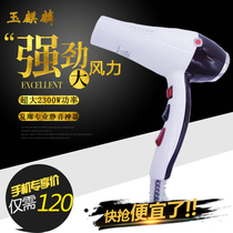 Jade Kirin Children Hair Dryer Muted No Radiation Pet Home Hairdresshop 2300w Dormitory Students High Power