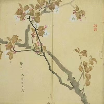 Muscle fluid · Poole reading house refined