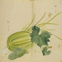 ZC paste · Refined by Chicao Reading Club