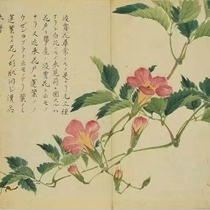 Ziyun Paste · Refined by Chicao Reading Club