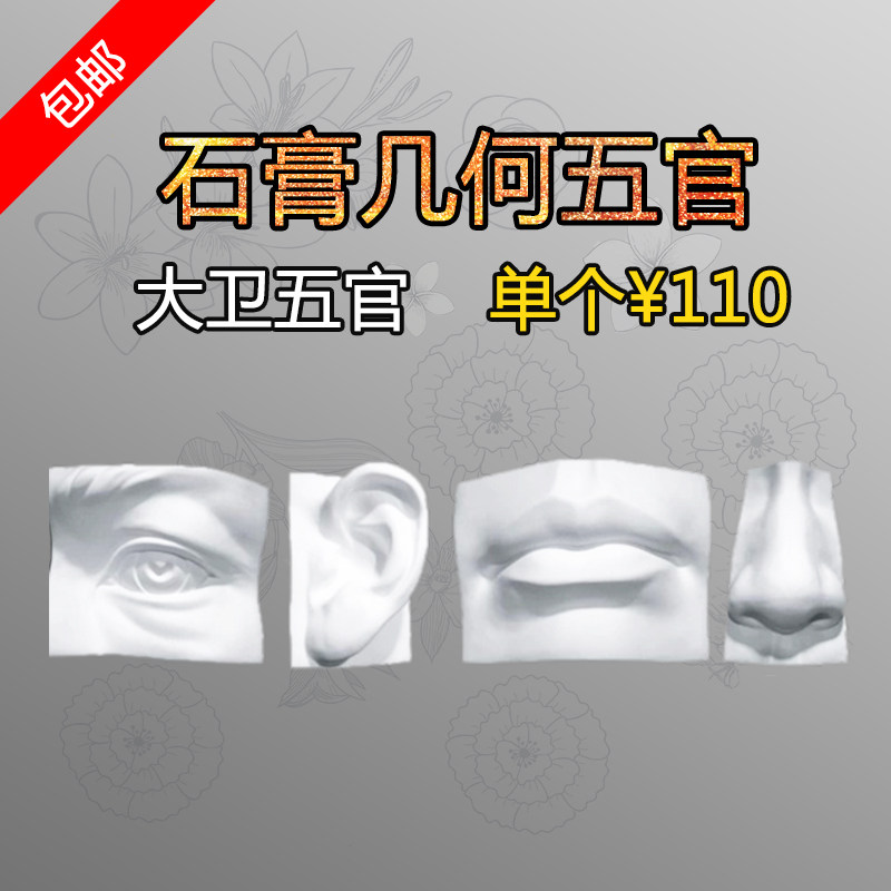 Express gypsum geometry facial features large facial features 50 cm David facial features single 110