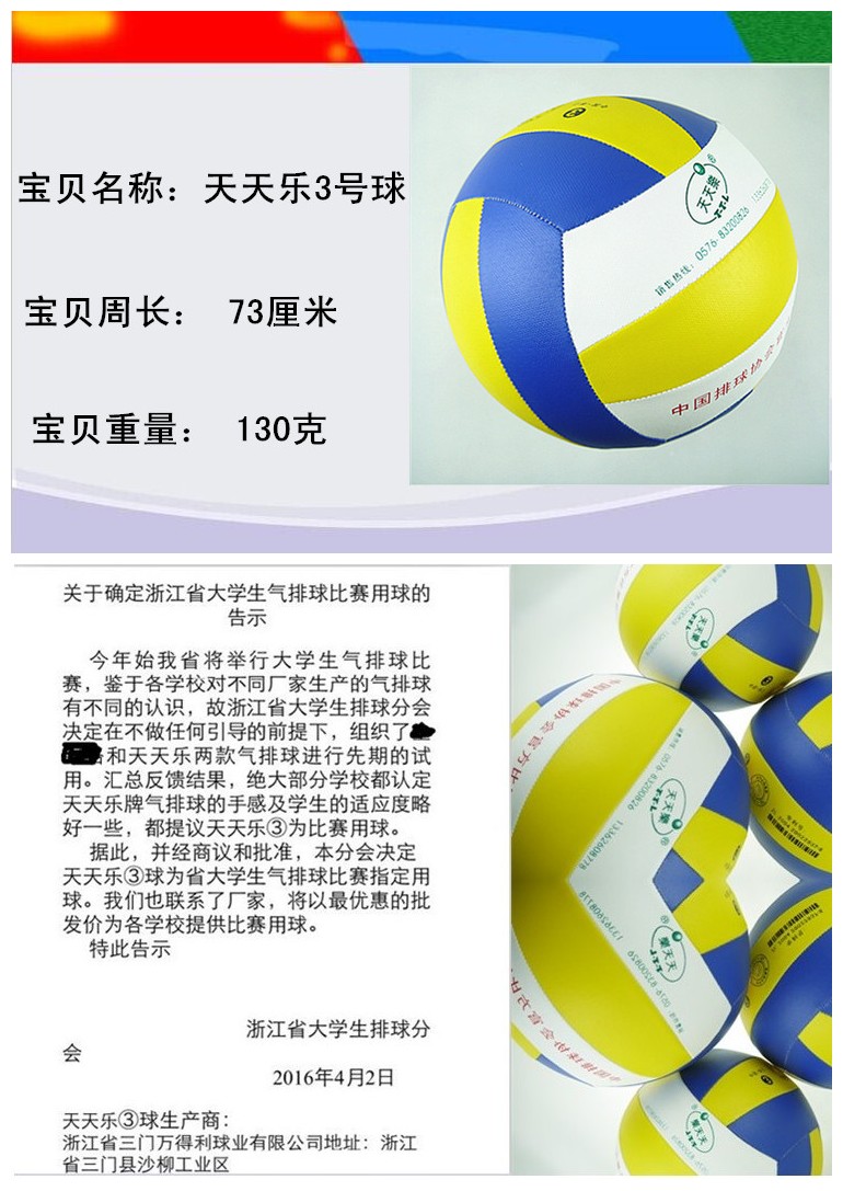Ballon de volley - Ref 2009913 Image 6