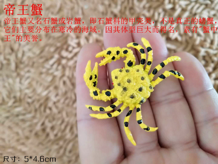Mô phỏng động vật biển mô hình ẩn sĩ cua cua cua cua đồ chơi đồ chơi cua rắn quà tặng mềm - Đồ chơi gia đình đồ chơi bé gái