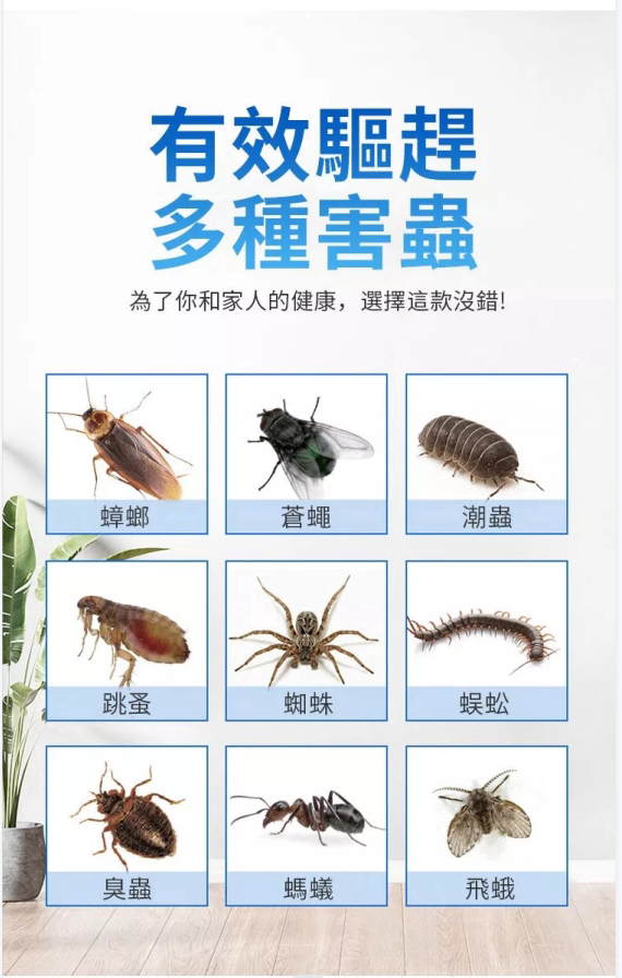 zhanglangmohe (2).png