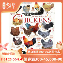 Special Price Canada Cobble Hill 1000 slices of 51824 imported puzzle chicken fig.