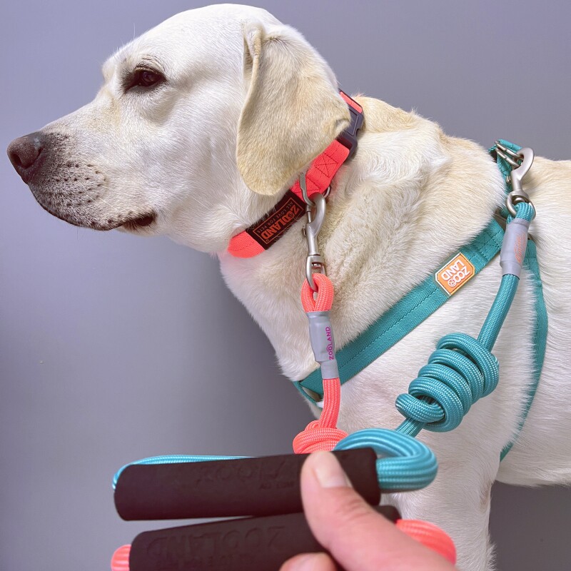 Zooland traction rope pet tie neck collar into young middle and large dog traction rope suit